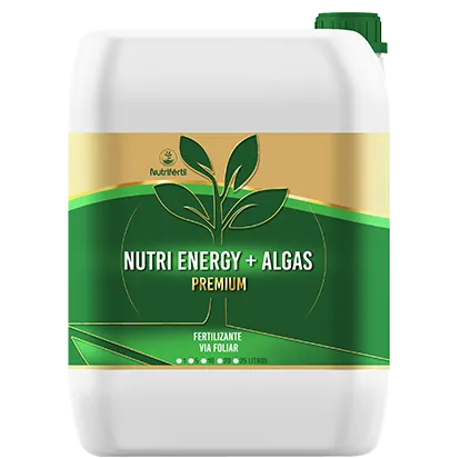 Nutri Energy + Algas