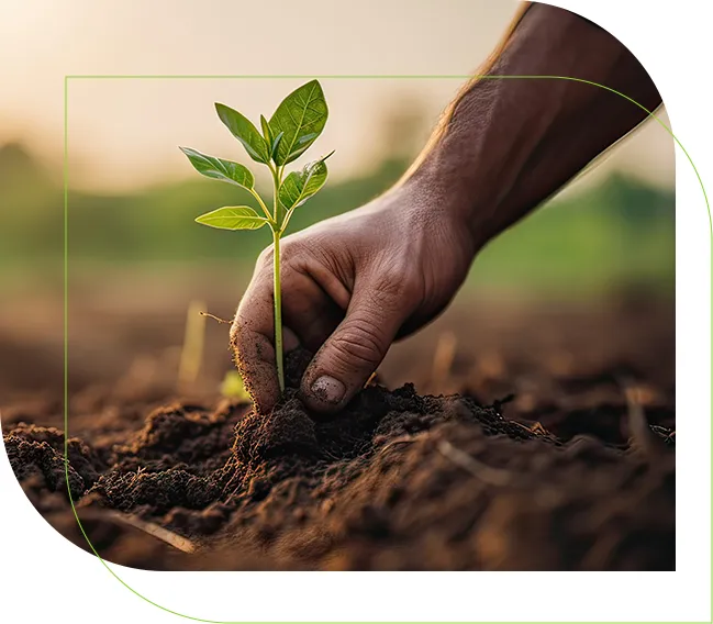 Agro Forte Fertilizantes | Na Agro Forte Fertilizantes você encontra uma linha completa de produtos para sua lavoura.